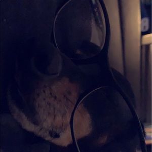 Meet your Posher, Samuel